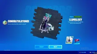 I won the VORTEXTUAL wrap and the LLAMALAXY spray from the Galaxy Cup 2.0! (Fortnite)