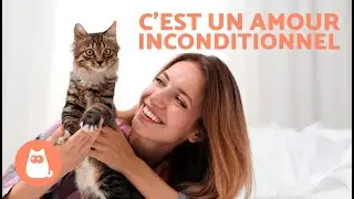 Comment AM&Eacute;LIORER ma RELATION AVEC MON CHAT 🐱❤️🧍&zwj;♀️