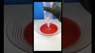 Candle & Bottle Air Pressure Experiment | Simple Science Trick at Home #experiment #science