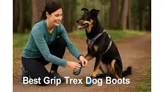 🐾 QUMY Dog Shoes for Large Dogs | Best Grip Trex Dog Boots 🐾