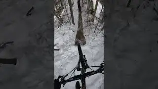 POV - MTB - Winter edition - Max Grayston