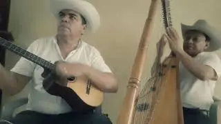 el ultimo pajarillo adaptación Mario tineo