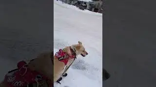 9(1)26 part 1 just walkin
