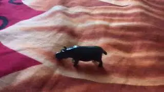 Dinosaur dinosaur Dinosaur fight animal in Ohio animal win animal die explode
