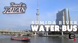 Travel in Japan | Water Bus in Sumida river Asakusa | 隅田川・水上バス