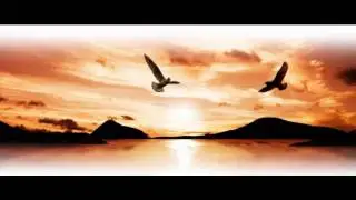 Mario Brown - Fly like a bird