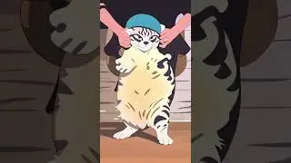Dancing cat hey hey you you #catmemes #cat #funny #cute #viral #shorts #fyp