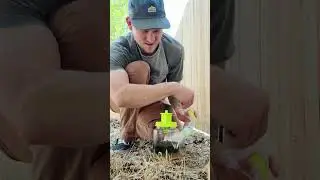 RESCUE! Outdoor Fly Trap 🪰 Keep Your Yard Fly Free