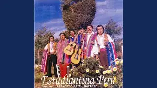 Flor de Mayo
