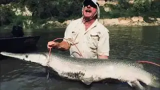 Giant Gar on the Trinity river
