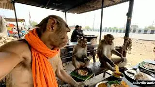 Ram mandir travel stories vlog video 