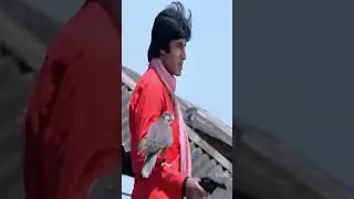 Allah Rakha Amitabh Bachchan /@MaqsoodGulzarDogar