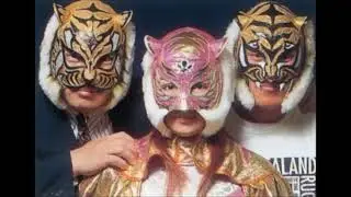 ARSION: Tiger Dream Theme