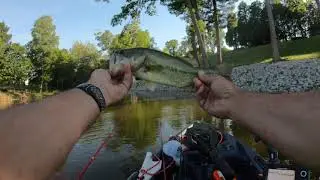 Echo Lake Piqua Ohio Top water action was good