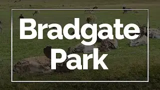 Bradgate Park, Newtown Linford, Leicester, England, UK