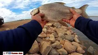 Whitefish Fishing using wireworms on a float- Football sized Whitefish caught at yellow lake Alberta