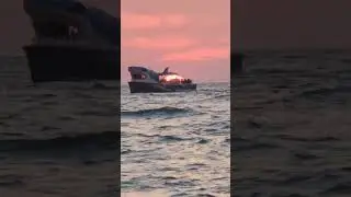 It's not every day that you see a shark eat the sun 🤣 #short #funny #fun