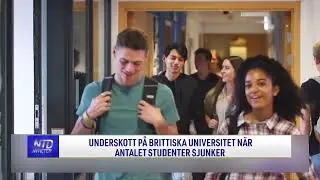 Underskott f&ouml;r brittiska universitet n&auml;r studentantalet sjunker | NTD NYHETER