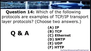 Q&A 14: Which of the following protocols are examples of TCP/IP transport layer protocols?