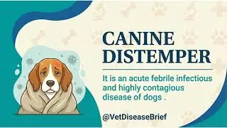 Canine Distemper in Dogs: Symptoms, Diagnosis & Treatment | Vet Disease Brief
