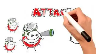 CAR T Cell Therapy - How Does it work?