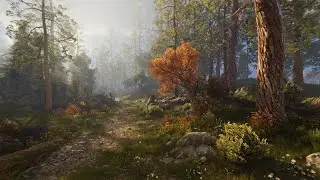 Rocky Hills Forest / Demo