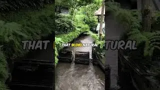Inside the World&rsquo;s Most Exclusive Jungle Resorts