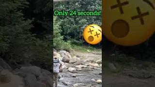 Hidden Nature Spot You Can Explore in Just Half a Day 🌲