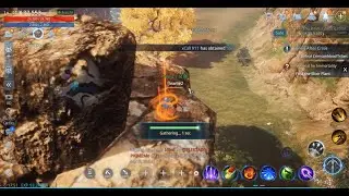 Mir4 - Material for immortality | Find the Elixir Plant