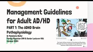 The Adults with ADHD Part 1: The ADHD Brain
