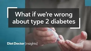 What if we're wrong about type 2 diabetes? &ndash; Diet Doctor Insights