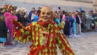 Narrentag Offenburg 27.01.2024