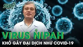 Phó Chủ tịch Hội Truyền nhiễm TPHCM nhận định: “Virus Nipah khó gây đại dịch như Covid-19”