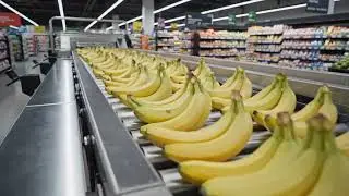 Hur processen att tillverka bananprodukter i en fabrik g&aring;r till 🍌| Steg-f&ouml;r-steg-process