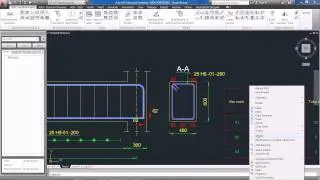 AutoCAD Structural Detailing 2012: Countrification UK