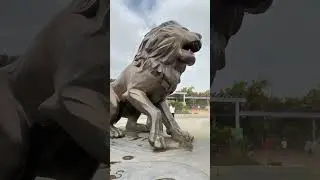 Bronze Lion Statute Comes To Life!  #klingai #aishorts #comfyui #midjourney