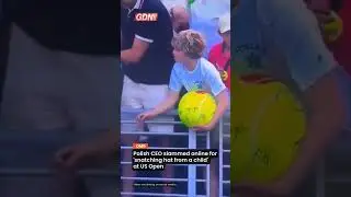 Polish CEO slammed online for 'snatching hat from a child' at US Open