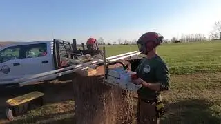 Alaskan Milling Cookies