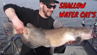 HUGE Spring Catfish in SHALLOW water (Giant NEW PB)