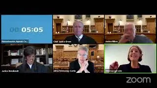 Chief Justice and Panel Argue Complex Legal Issues in Zoom Courtroom Drama!