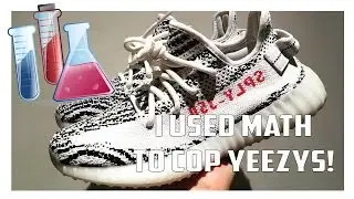 Zebra Yeezy Boost 350 Copped Using Math!