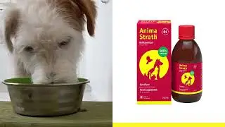 Anima Strath Darreichungsformen- f&uuml;r jeden Anspruch eine L&ouml;sung