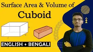 Surface Area and Volume of a Cuboid | CBSE, NCERT, SEBA, TBSE Geometry Lesson