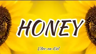 L'Arc~en~Ciel - HONEY (Romaji/English)