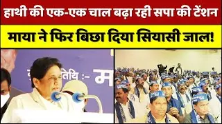 BSP सुप्रीमो Mayawati ने फिर चल दी नई चाल, अब Muslim Voters पर निशाना, Akhilesh के लिए टेंशन!