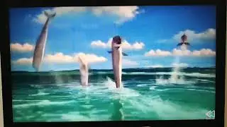 Madagascar Alex Marty melman gloria bad out 😠 reversed scene
