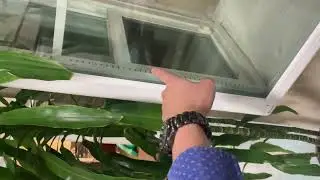 Garden Window - Value Windows and Doors
