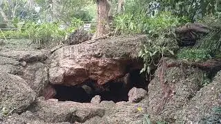 Monfort Bat Cave is a must see destination in Samal