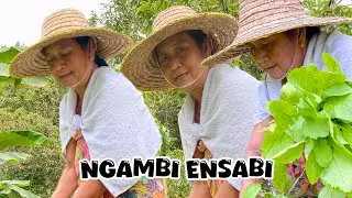 NGAMBI ENSABI BA MINI KEBUN INDAI ELEK...