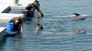 Ocean Adventure - Subic Philippines